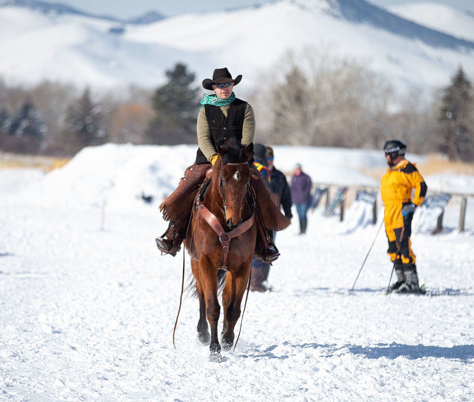 Last Chance Skijoring Race for the Gold